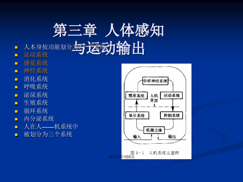 人机工程学重庆邮电大学淅沥枫