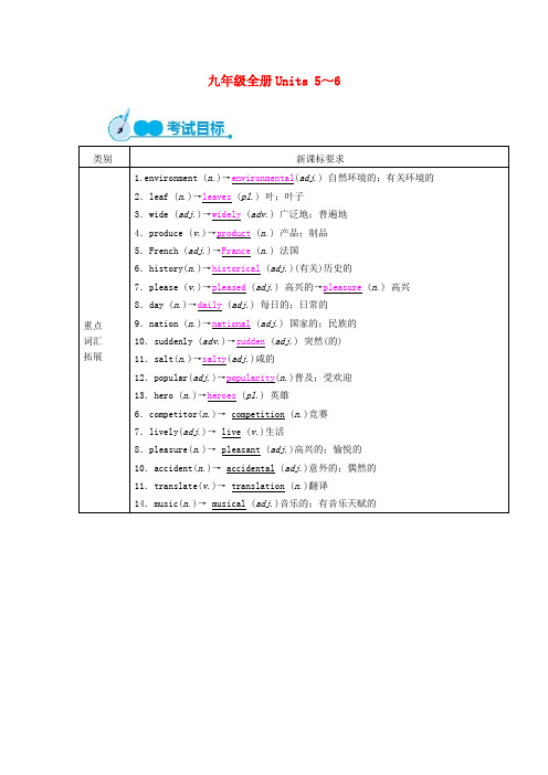 中考英语教材一本通 九全 Unit 5-6