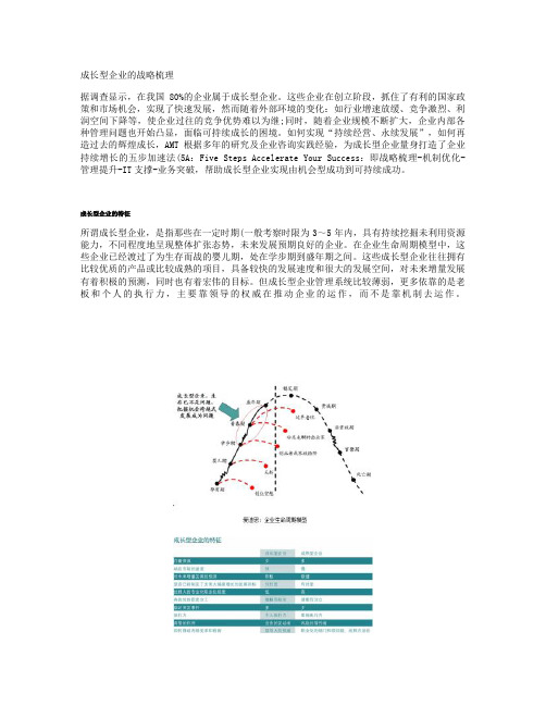 成长型企业的战略梳理解读