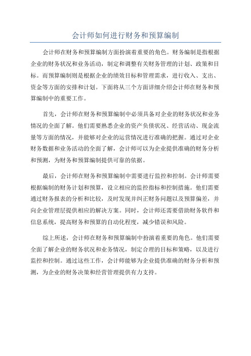 会计师如何进行财务和预算编制