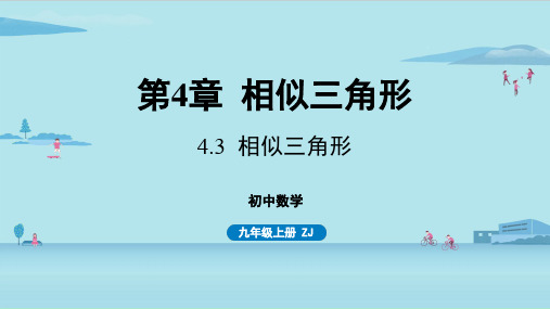 浙教版初中九年级上册数学精品教学课件 第4章 相似三角形 4.3 相似三角形