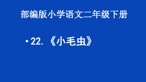 二年级语文下册课件-22 小毛虫2-部编版(共14张PPT)