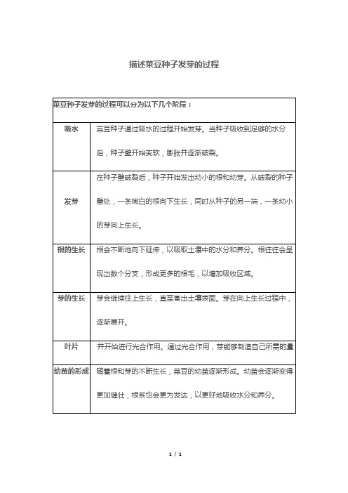 描述菜豆种子发芽的过程