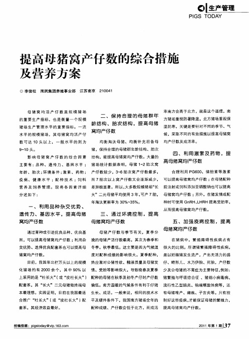 提高母猪窝产仔数的综合措施及营养方案