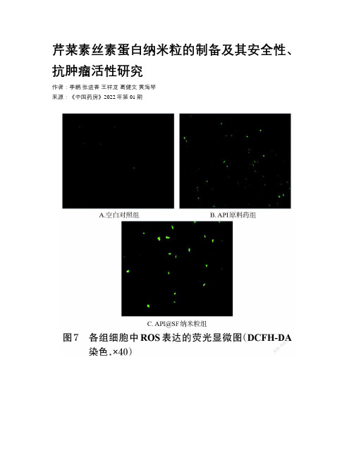 芹菜素丝素蛋白纳米粒的制备及其安全性、抗肿瘤活性研究 