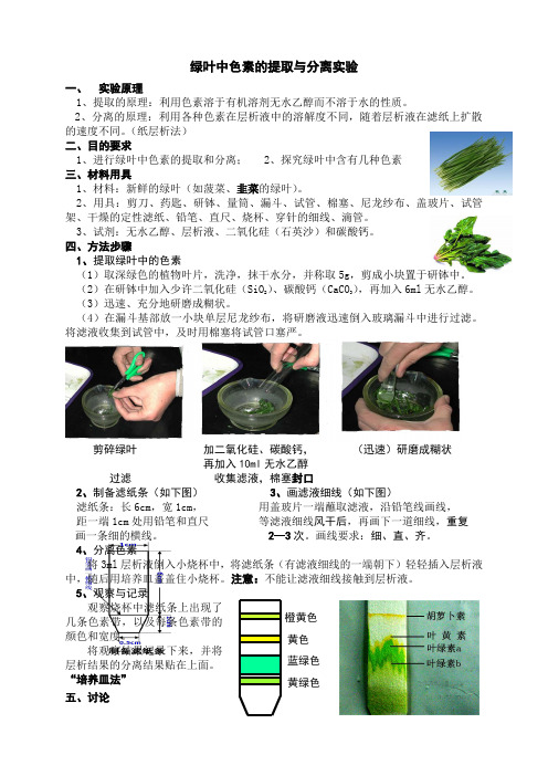 绿叶中色素的提取与分离实验操作过程(图文)