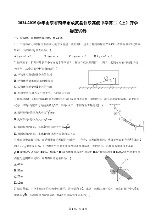 2024-2025学年山东省菏泽市成武县伯乐高级中学高二(上)开学物理试卷(含答案)