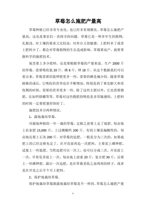 草莓怎么施肥产量高