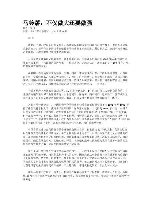 马铃薯:不仅做大还要做强