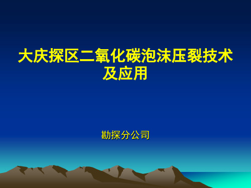 二氧化碳泡沫压裂技术及应用