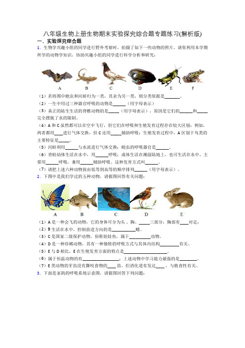 八年级生物上册生物期末实验探究综合题专题练习(解析版)[004]