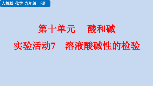 最新版初中化学九年级下册：溶液酸碱性的检验