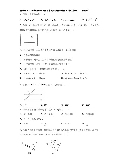 青岛版2020七年级数学下册期末复习综合训练题B(能力提升 含答案)