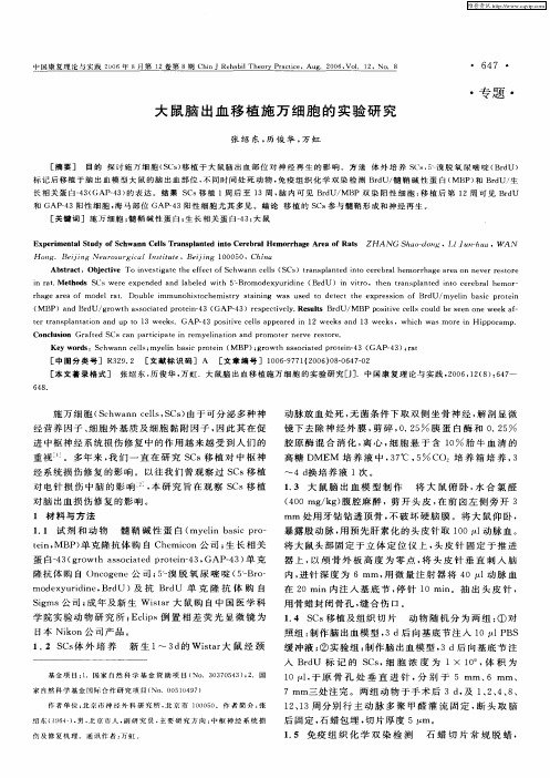大鼠脑出血移植施万细胞的实验研究