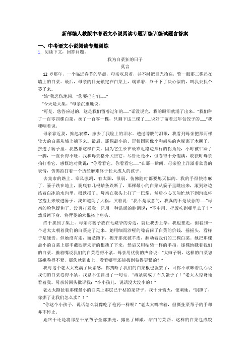 新部编人教版中考语文小说阅读专题训练训练试题含答案