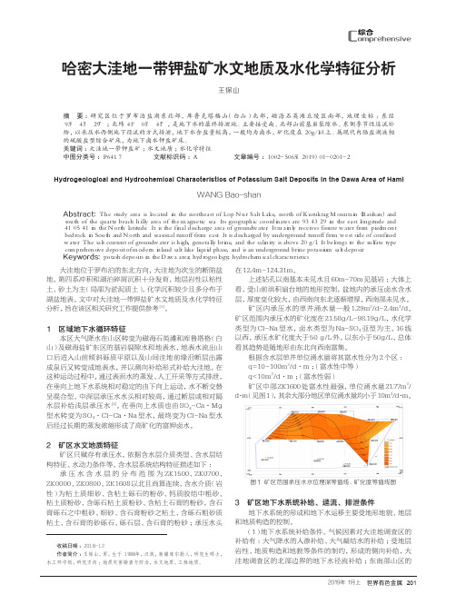 哈密大洼地一带钾盐矿水文地质及水化学特征分析