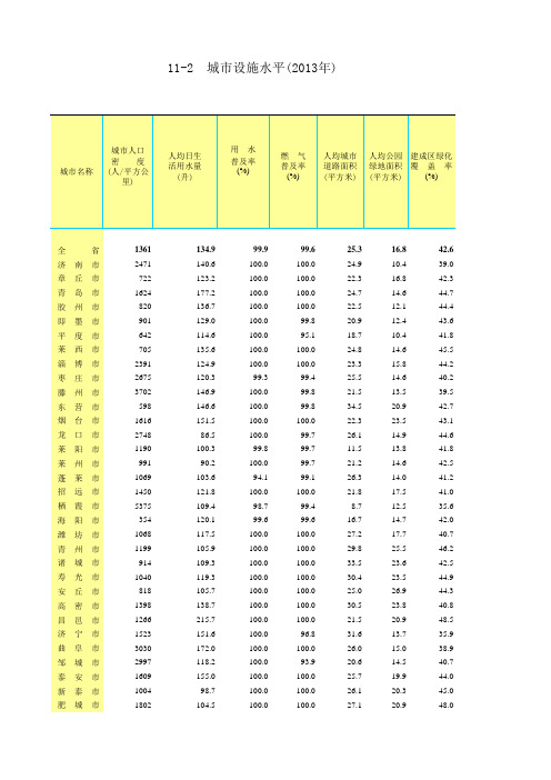 山东省城市设施水平(2013年)