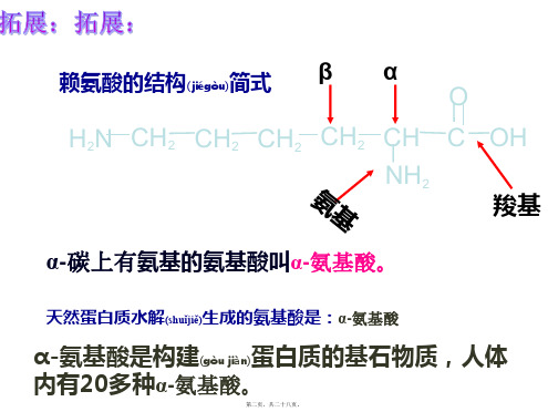 蛋白质的性质645.ppt