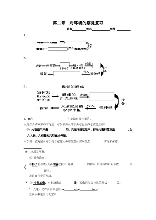 第二章  对环境的察觉复习(基础知识加练习巩固)