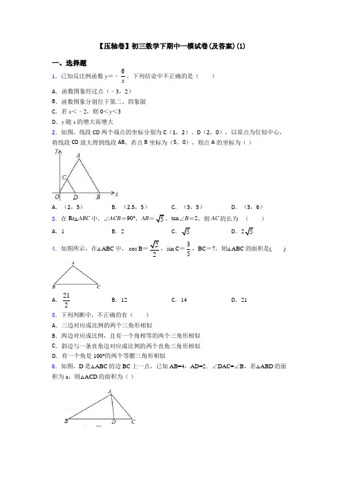 【压轴卷】初三数学下期中一模试卷(及答案)(1)