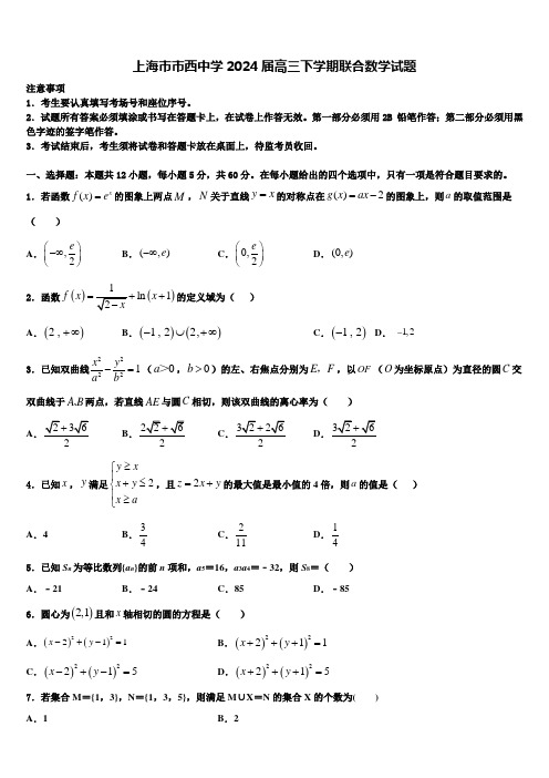 上海市市西中学2024届高三下学期联合数学试题