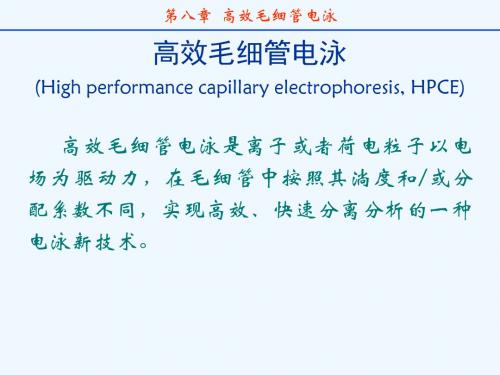 分离科学---第八章高效毛细管电泳