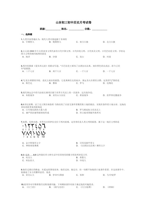 山东初三初中历史月考试卷带答案解析
