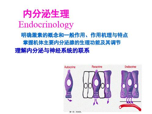 《内分泌生理》PPT课件