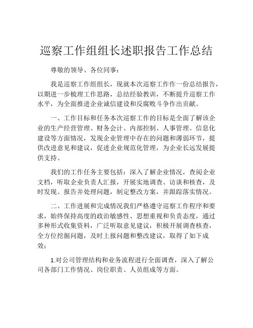 巡察工作组组长述职报告工作总结