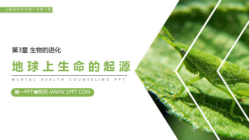 《地球上生命的起源》精品课件-人教版八年级生物下册PPT课件