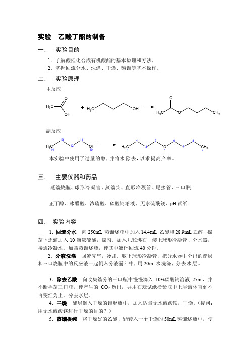 乙酸丁酯的制备