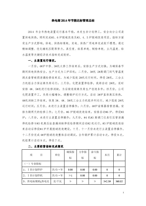 热电部2014年节能达标工作总结资料解读