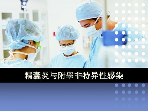 精囊炎与附睾非特异性感染ppt课件