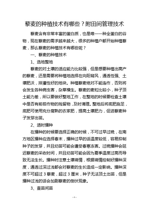 藜麦的种植技术有哪些？附田间管理技术