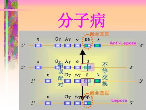 分子病