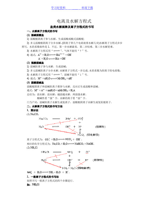 电离及水解方程式