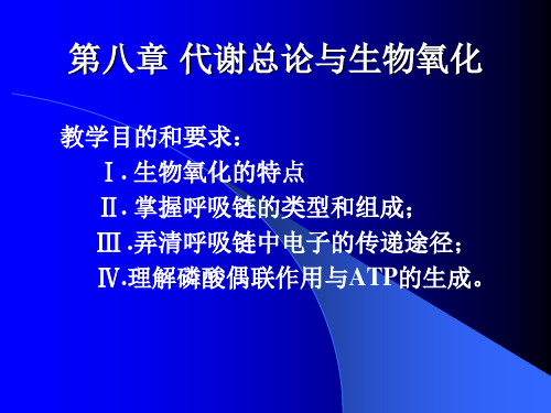 生物化学101112代谢总论能量代谢与生物氧化