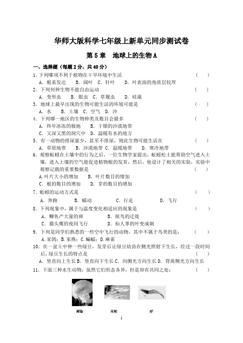 华师大版科学七年级上新单元同步测试卷(第5章)