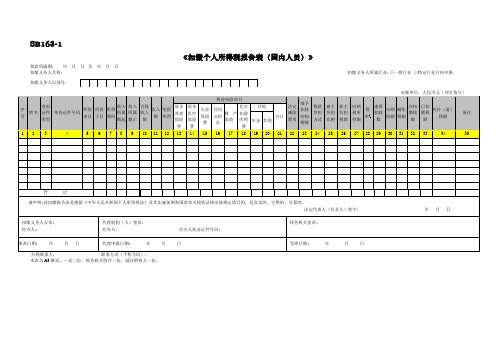 SB163《扣缴个人所得税报告表(国内人员)》