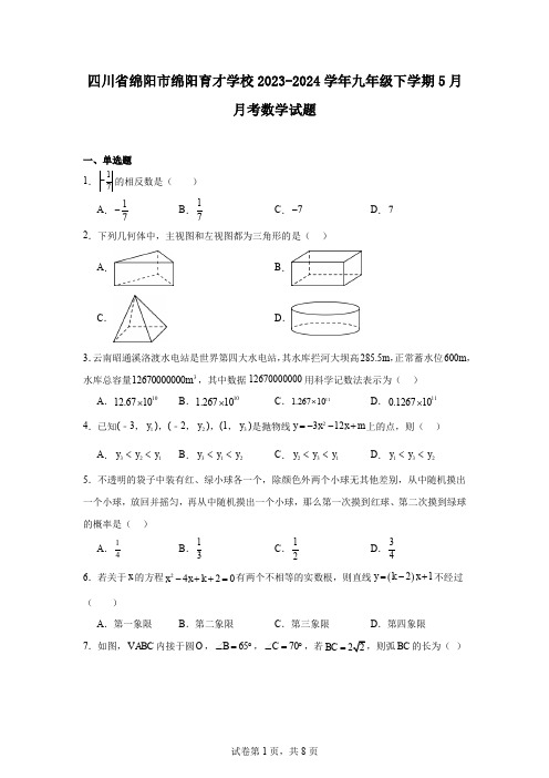 四川省绵阳市绵阳育才学校2023-2024学年九年级下学期5月月考数学试题