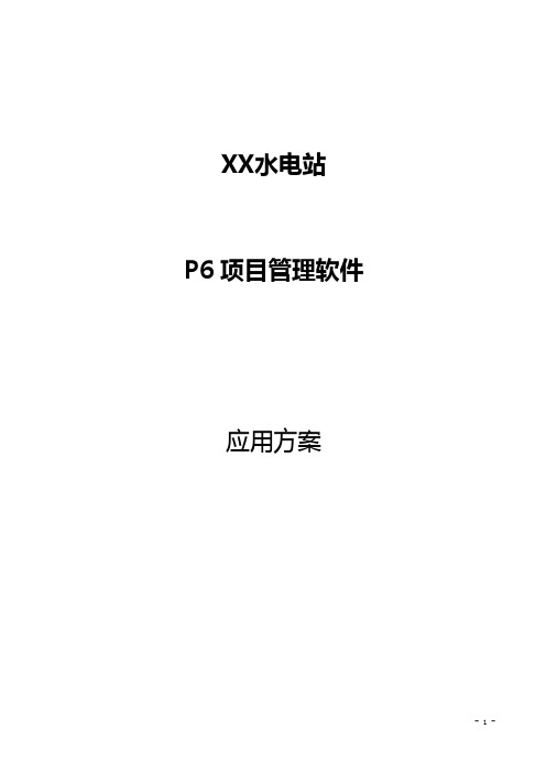 P6-PPM软件应用方案