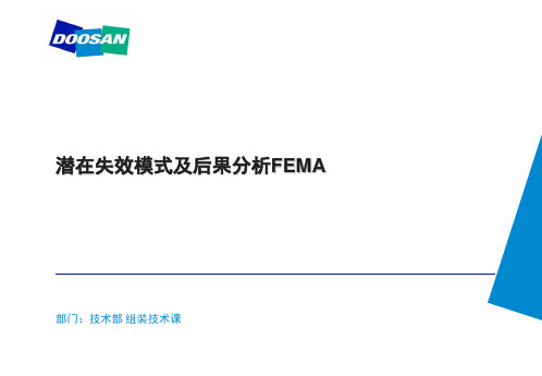 fema的实施和应用