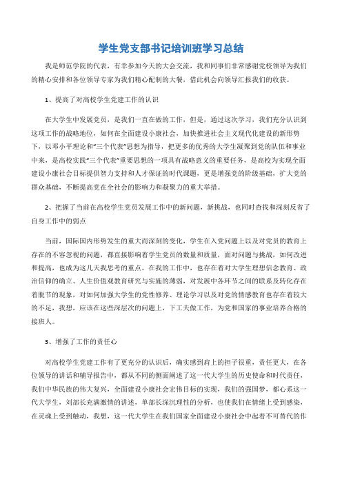 (个人总结)学生党支部书记培训班学习总结-2篇