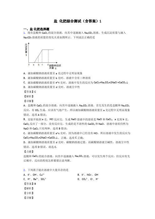 盐 化肥综合测试(含答案)1