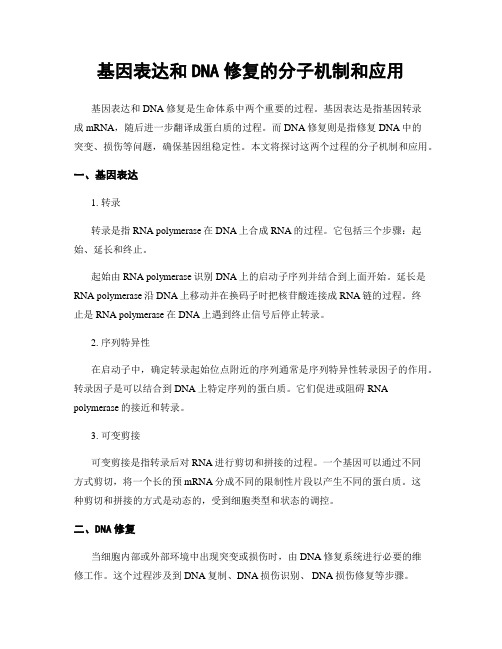 基因表达和DNA修复的分子机制和应用