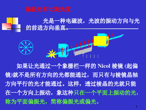 体内药物分析手性药物HPLC法