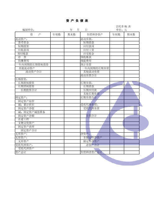 民间非营利组织的资产负债表.doc.