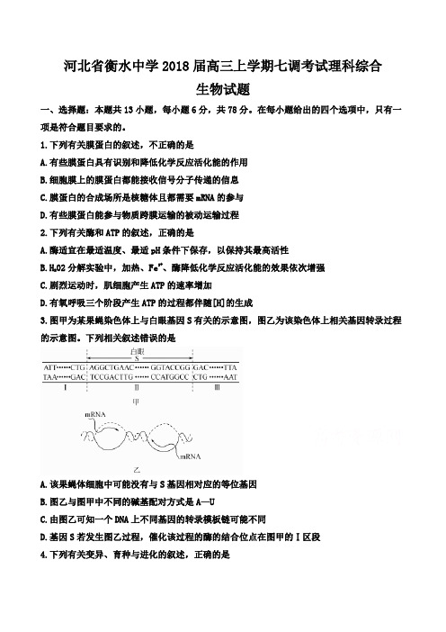 河北省衡水中学2018届高三上学期七调考试理科综合生物含答案