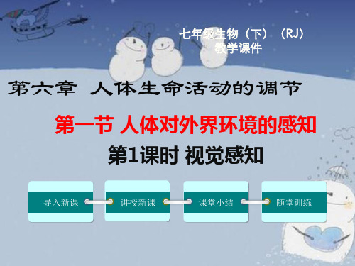 《人教版七年级下册》生物视觉感知课件