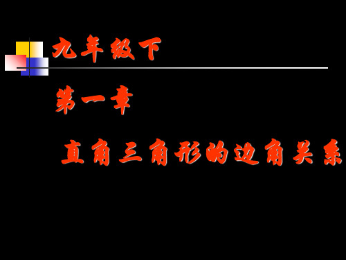 直角三角形的边角关系PPT课件